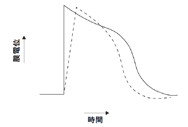 解説画像